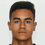 拉斐尔·布里托