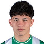 利桑德罗·皮涅罗