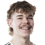 阿尔图海诺宁